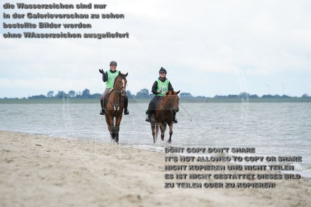 s_K3F04978.JPG